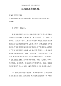 巡视表态发言汇编