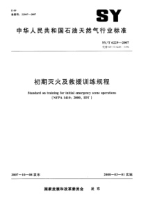 SYT 6229-2007 初期灭火及救援训练规程