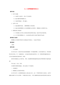 2019-2020学年八年级物理下册 第六章 力和机械 6.2 怎样测量和表示力教案 （新版）粤教沪