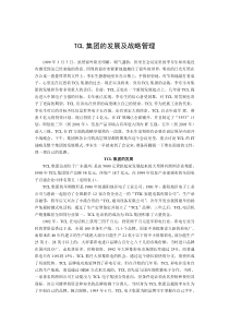 TCL战略管理（DOC 13页）