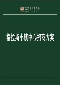 格拉斯小镇中心招商方案