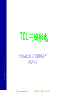 TCL王牌彩电广告策略推荐(1)