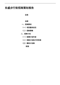 步行街招商策划报告