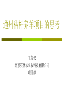 通州秸杆养羊项目的思考