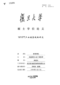 WHPT产业调整战略研究