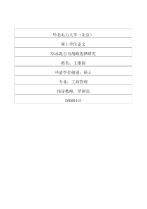 xs水泥公司战略选择研究