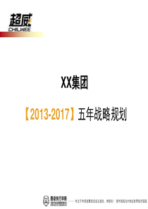 XXXX-2017年战略规划