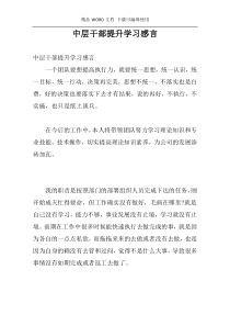 中层干部提升学习感言