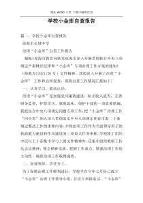 学校小金库自查报告