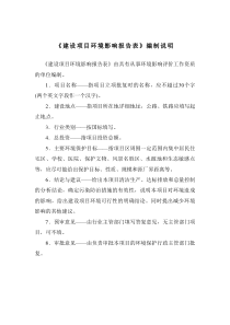 邵阳新源发制品公司环评报告项目