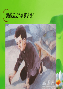 我的弟弟小萝卜头