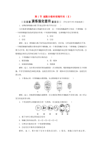 2019-2020学年高中生物 第2章 基因和染色体的关系 第1节 减数分裂和受精作用（Ⅱ）演练强化