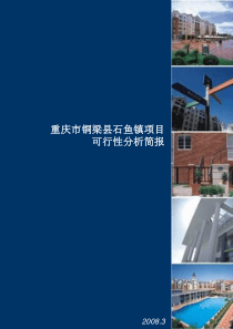 重庆市铜梁县石鱼镇项目可行性分析_政府版_14PPT