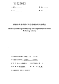 长春市光电子技术产业管理协同问题研究