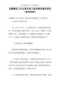 巡察整改工作主要负责人组织落实情况报告（参考范例）