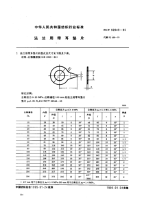 FZ T 92049-1995 法兰用带耳垫片