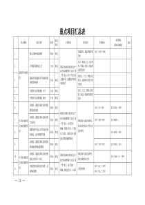 重点项目汇总表