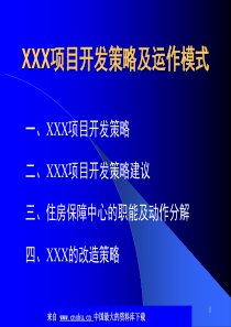 XXX项目开发策略及运作模式(ppt 50)