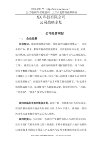 XX公司战略企划方案