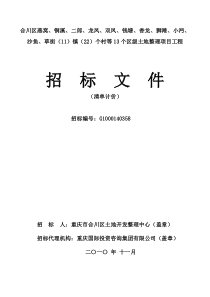 合川土地整理项目(第二批)招标文件