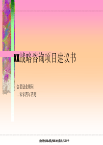 XX战略报告全