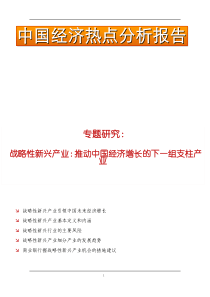 XXXX经济热点战略性新兴产业研究报告