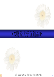 XX财经大学促销战略(pdf 52)