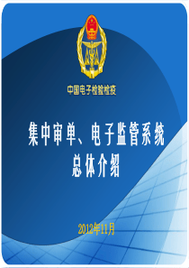 集中审单、电子监管系统总体介绍