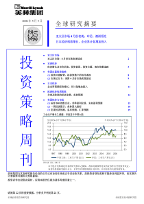 XX集团投资策略