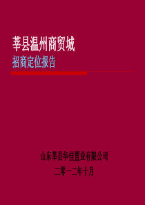 莘县温州商贸城招商策划报告