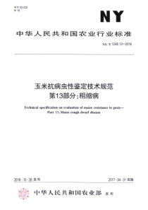 NY∕T 1248.13-2016 玉米抗病虫性鉴定技术规范 第13部分粗缩病