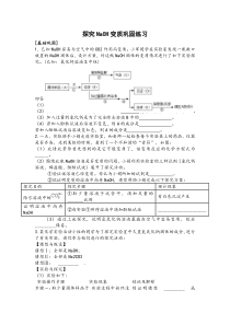 初中化学 探究NaOH变质巩固练习