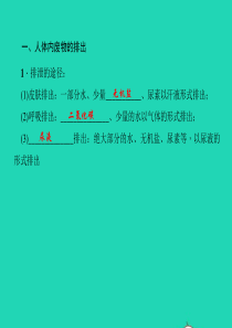 七年级生物下册第四单元生物圈中的人第五章第七章小结与复习作业课件新版新人教版