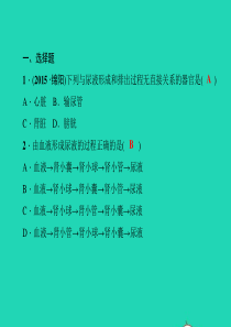 七年级生物下册第四单元生物圈中的人第五章第七章综合训练作业课件新版新人教版