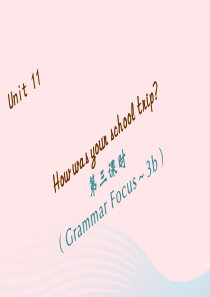 七年级英语下册Unit11Howwasyourschooltrip第三课时GrammarFocus3