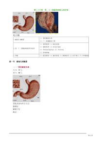 初级护师考试辅导-外科护理学第二十六章胃、十二指肠疾病病人的护理