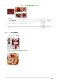 初级护师考试辅导-外科护理学第二十八章直肠肛管疾病病人的护理