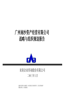 ××资产经营公司战略与组织规划