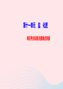 九年级化学下册第十一单元盐化肥单元考点训练与重难点突破课件新版新人教版