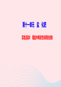 九年级化学下册第十一单元盐化肥实验活动8粗盐中难溶性杂质的去除课件新版新人教版