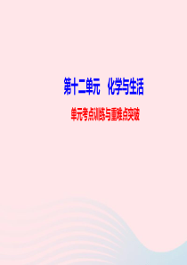 九年级化学下册第十二单元化学与生活单元考点训练与重难点突破课件新版新人教版