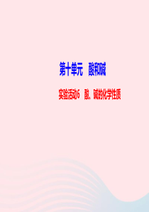 九年级化学下册第十单元酸和碱实验活动6酸碱的化学性质课件新版新人教版