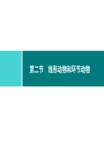 第一章动物的主要类群同步练习课件512