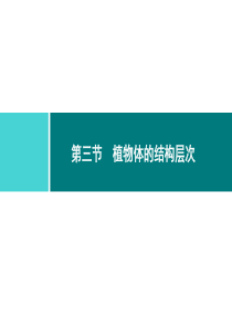 第二单元第二章细胞怎样构成生物体同步练习课件第二单元第二章第三节植物体的结构层次