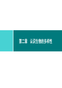 第六单元生物的多样性及其保护同步练习课件62