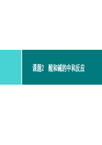 酸和碱同步练习课件第10单元课题2第1课时