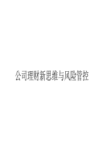 《公司理财战略新思维与风险管控》