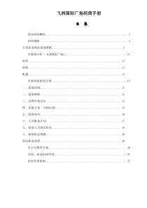 飞洲国际广场招商手册35(1)