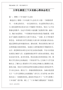 大学生暑假三下乡实践心得体会范文