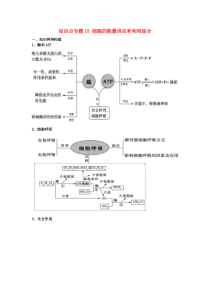 2021年高考生物一轮复习知识点下专题15细胞的能量供应和利用综合含解析